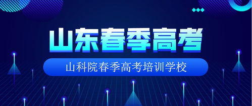 春季高考商贸专业中电子商务基础考什么 重点是什么